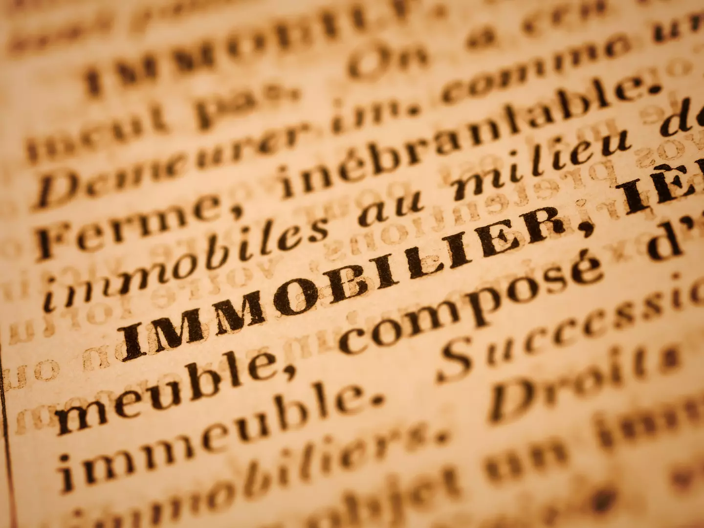 Ancien dictionnaire avec immobilier