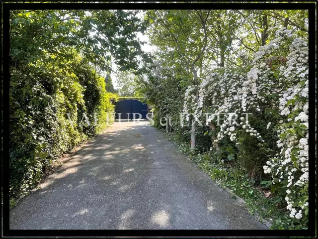 Allée de voiture pavée menant directement au jardin et à la porte d’entrée, un accès pratique et esthétique.