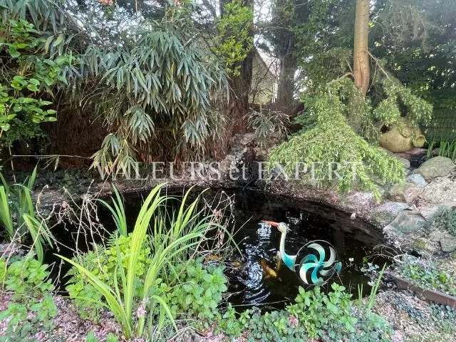 Petite mare paysagée dans le jardin d’une maison à vendre à Leers – Valeurs et Expert