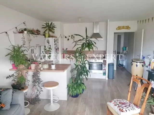 Salon lumineux de l’appartement à vendre Lille