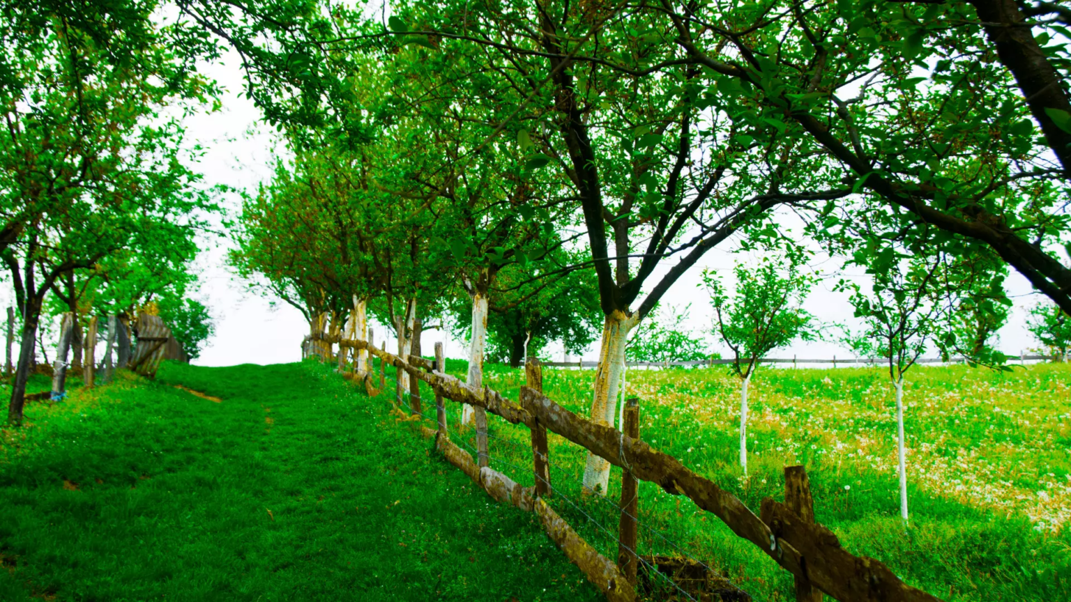 Servitude de passage